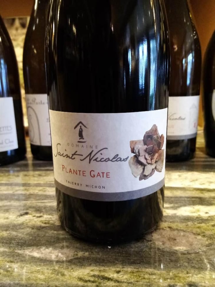 Plante Gate - Domaine Saint Nicolas - Mickaël, Antoine & Thierry Michon 