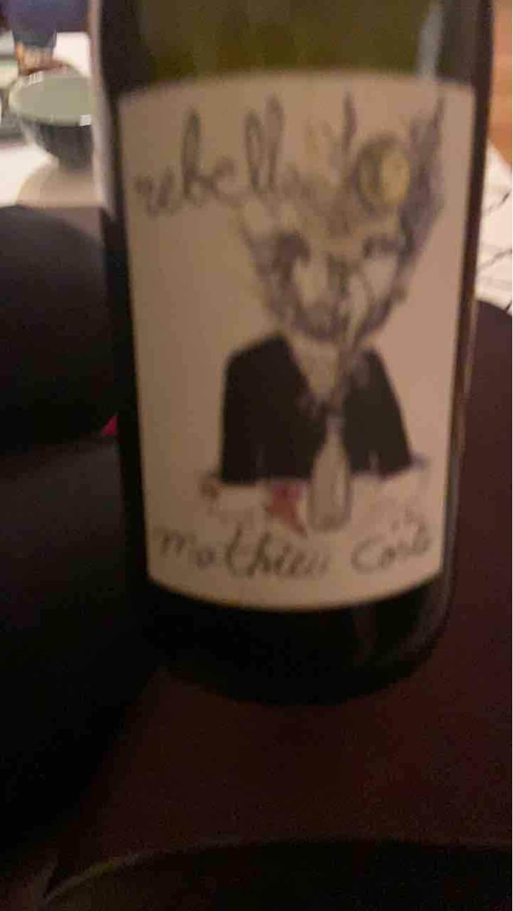 Rebelle Blanc - Domaine Bio Coste - Mathieu Coste 