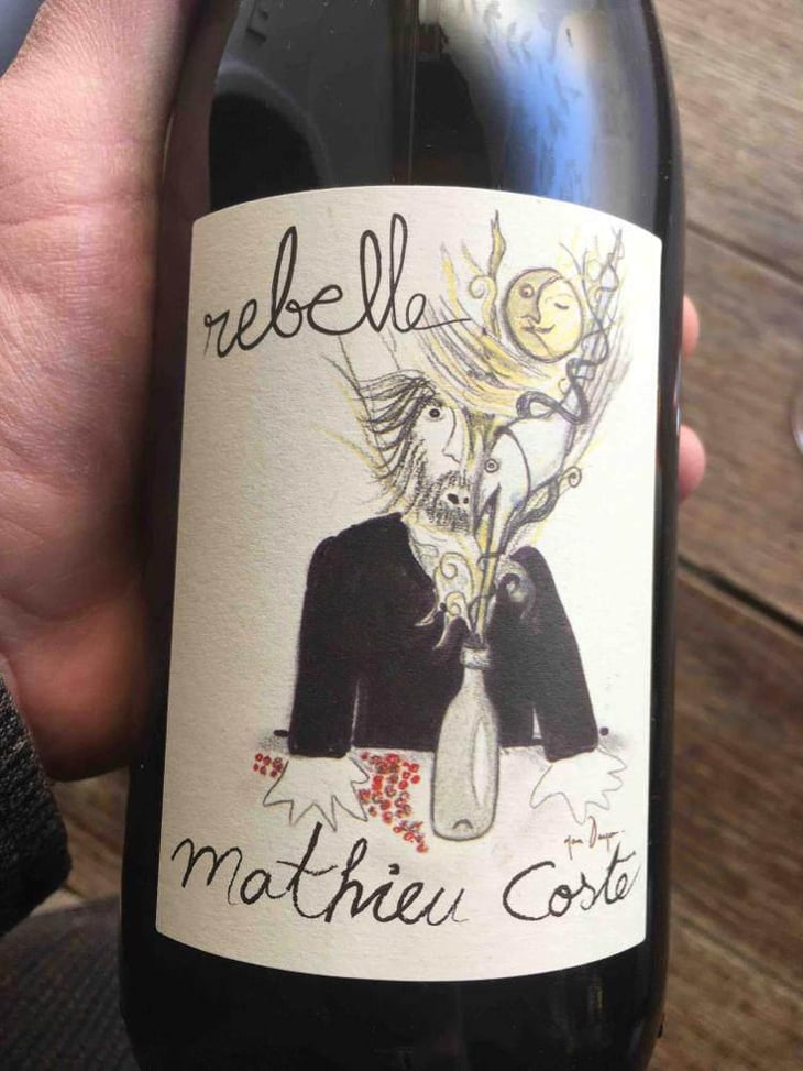 Rebelle Blanc - Domaine Bio Coste - Mathieu Coste 