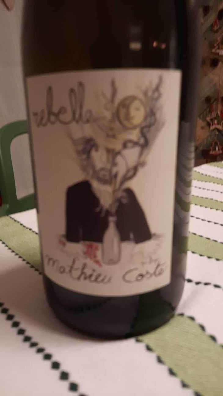 Rebelle Blanc - Domaine Bio Coste - Mathieu Coste 