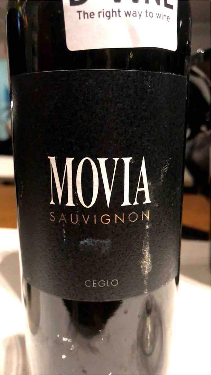 Rebula - Movia - Aleš Kristančič 