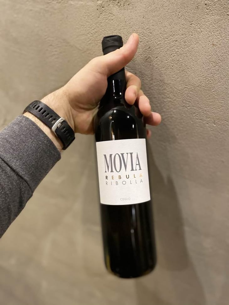 Rebula - Movia - Aleš Kristančič 