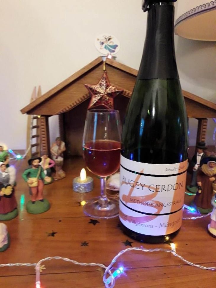 Récolte Cécile - Domaine Philippe Balivet - Cécile & Vincent Balivet 
