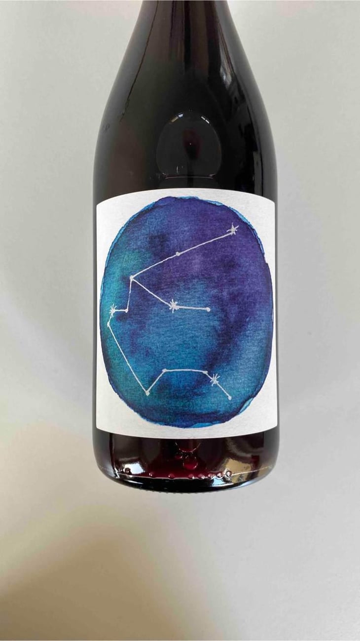 Red Aquarius - Jan-Philipp Bleeke - Winemaking - Jan-Philipp Bleeke -21