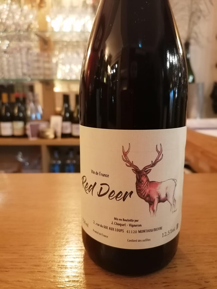 Red deer - Jeremie Choquet - Jérémie Choquet -2022