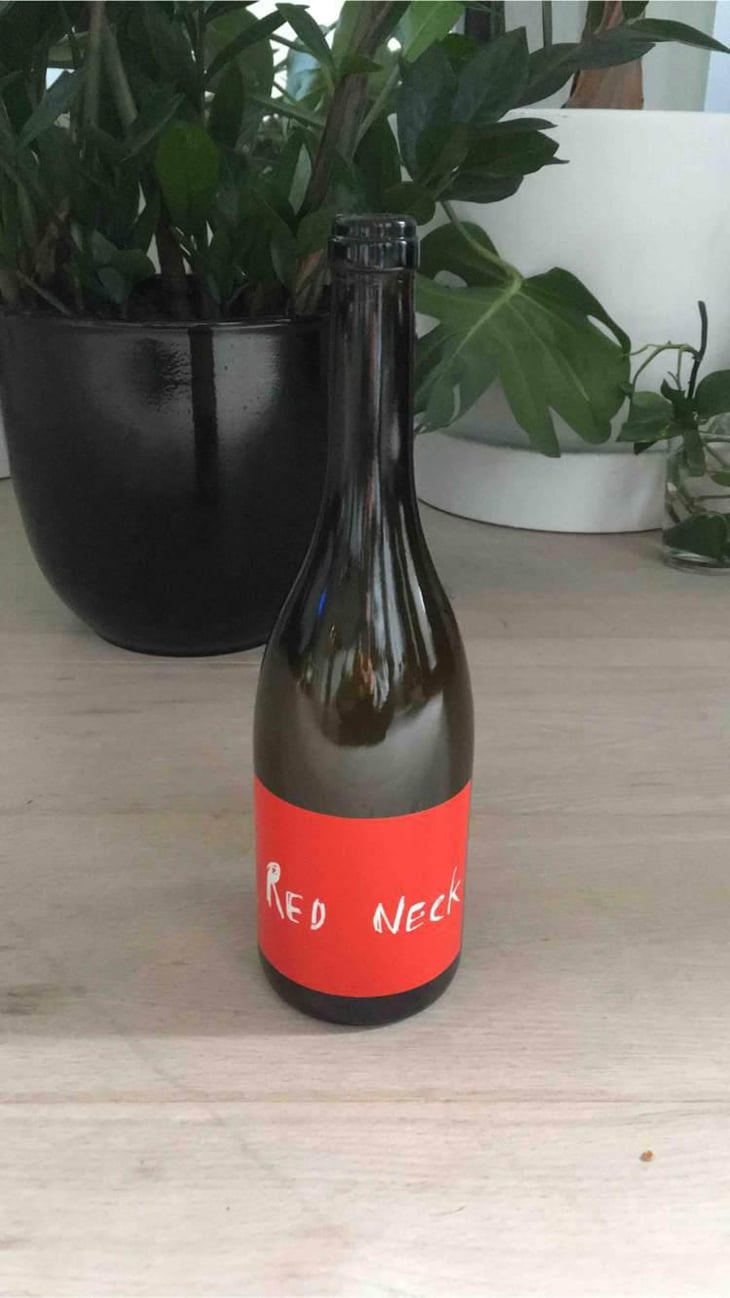 Red Neck - Peaux Rouges - Jean-Guillaume Caplain 