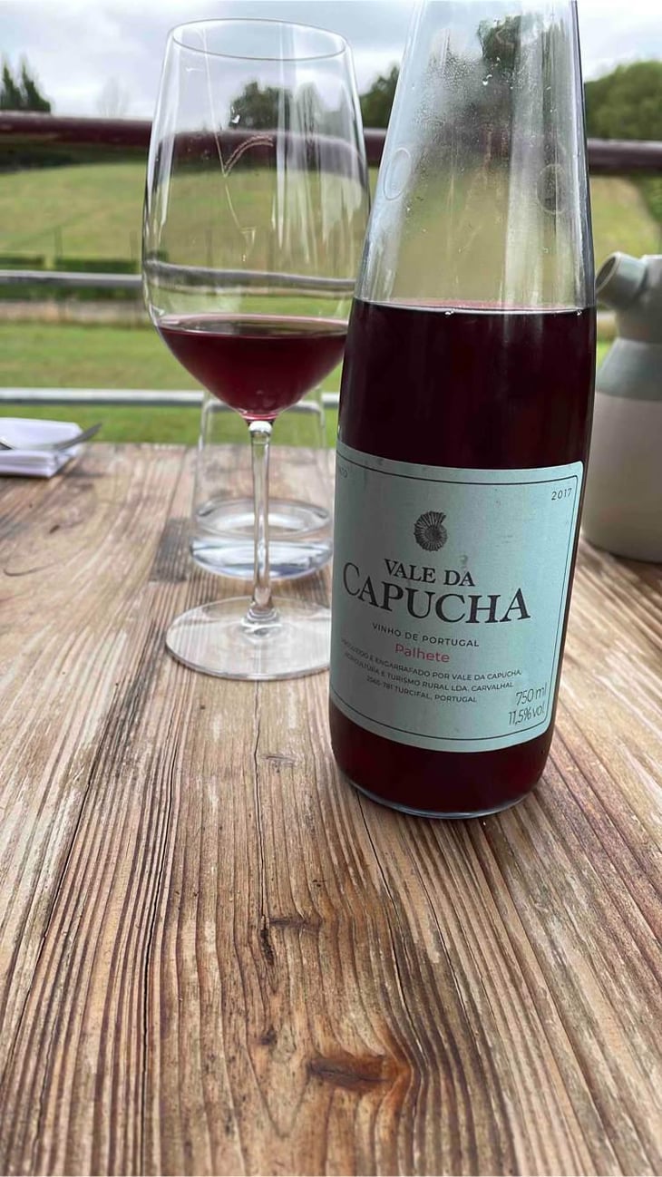 Palhete - Vale da Capucha - Pedro Marques 