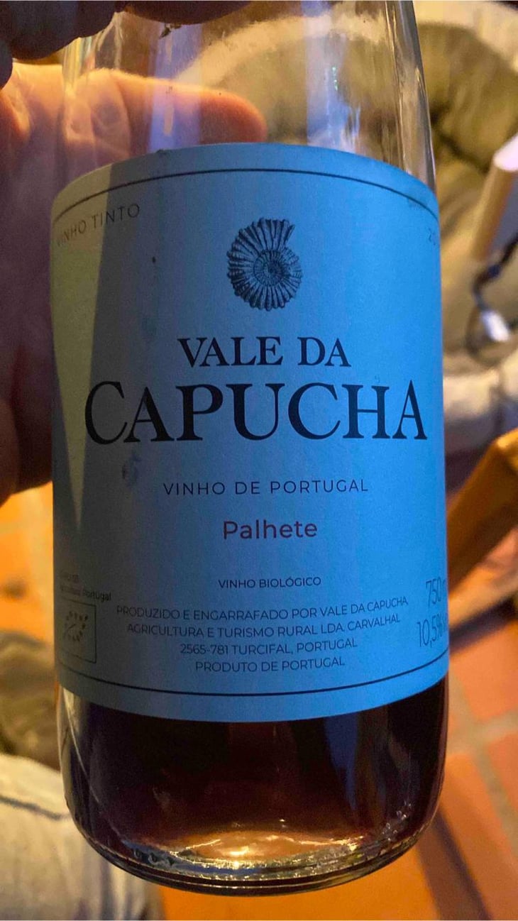 Palhete - Vale da Capucha - Pedro Marques 
