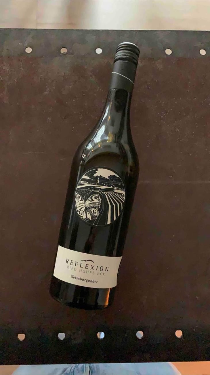 Reflexion Weissburgunder Ried Hohes Eck - Bioweingut Johannes Zillinger - Johannes Zillinger -2019