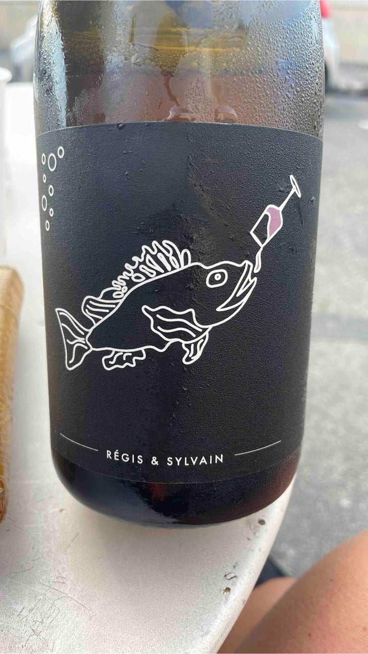 Regis & Sylvain - Clos de Somméré - Régis & Sylvain -2022