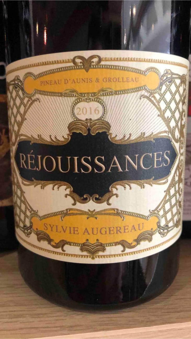 Réjouissances - Sylvie Augereau - Sylvie Augereau 