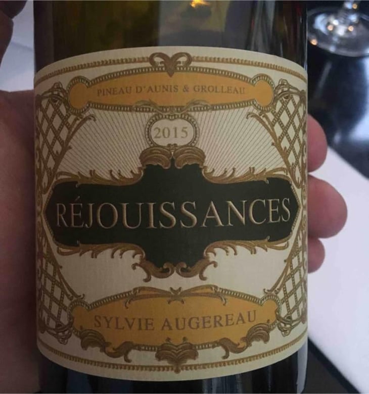 Réjouissances - Sylvie Augereau - Sylvie Augereau 