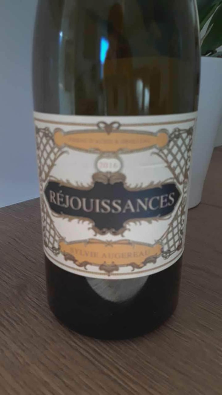 Réjouissances - Sylvie Augereau - Sylvie Augereau 