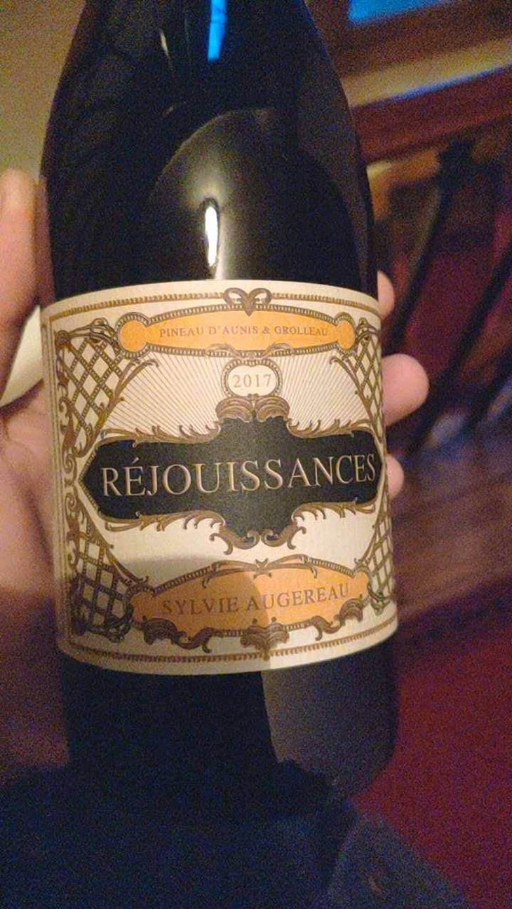 Réjouissances - Sylvie Augereau - Sylvie Augereau 