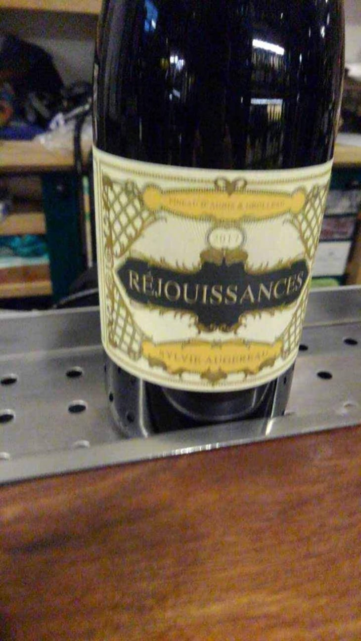 Réjouissances - Sylvie Augereau - Sylvie Augereau 