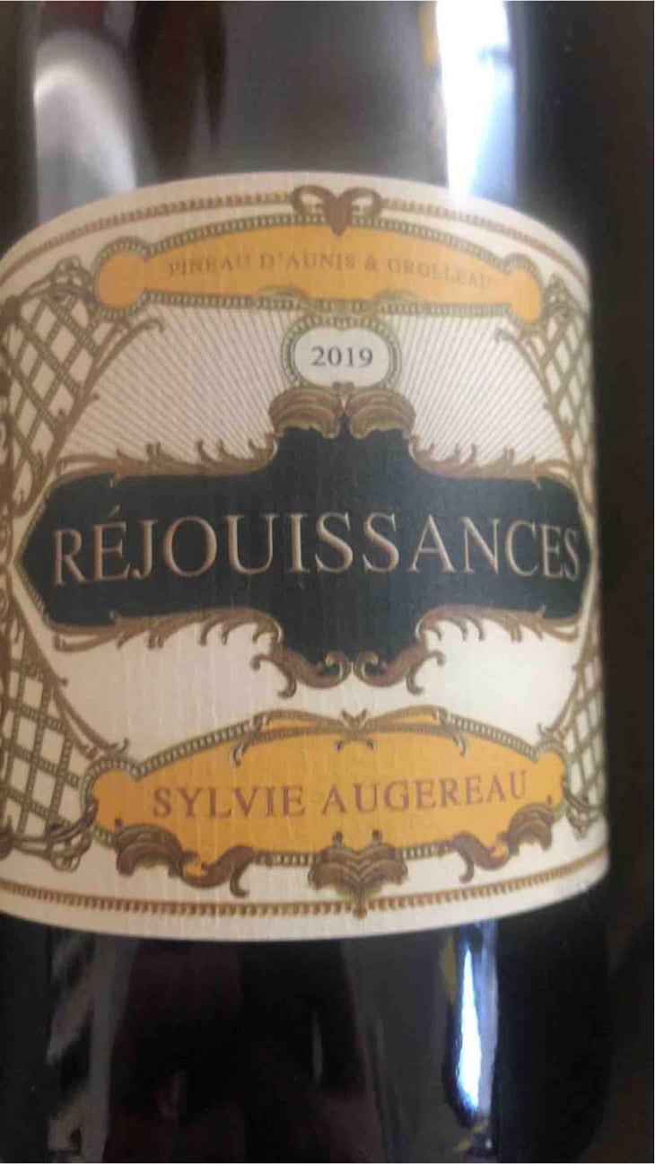 Réjouissances - Sylvie Augereau - Sylvie Augereau 