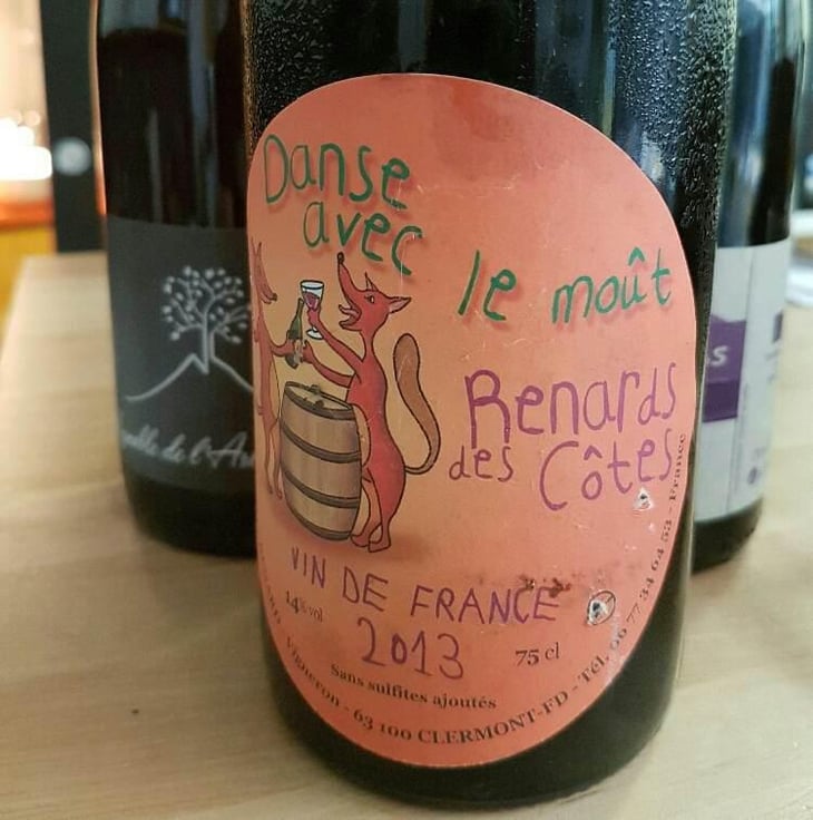Renard des Côtes - Renard des Cotes - Thierry Renard 