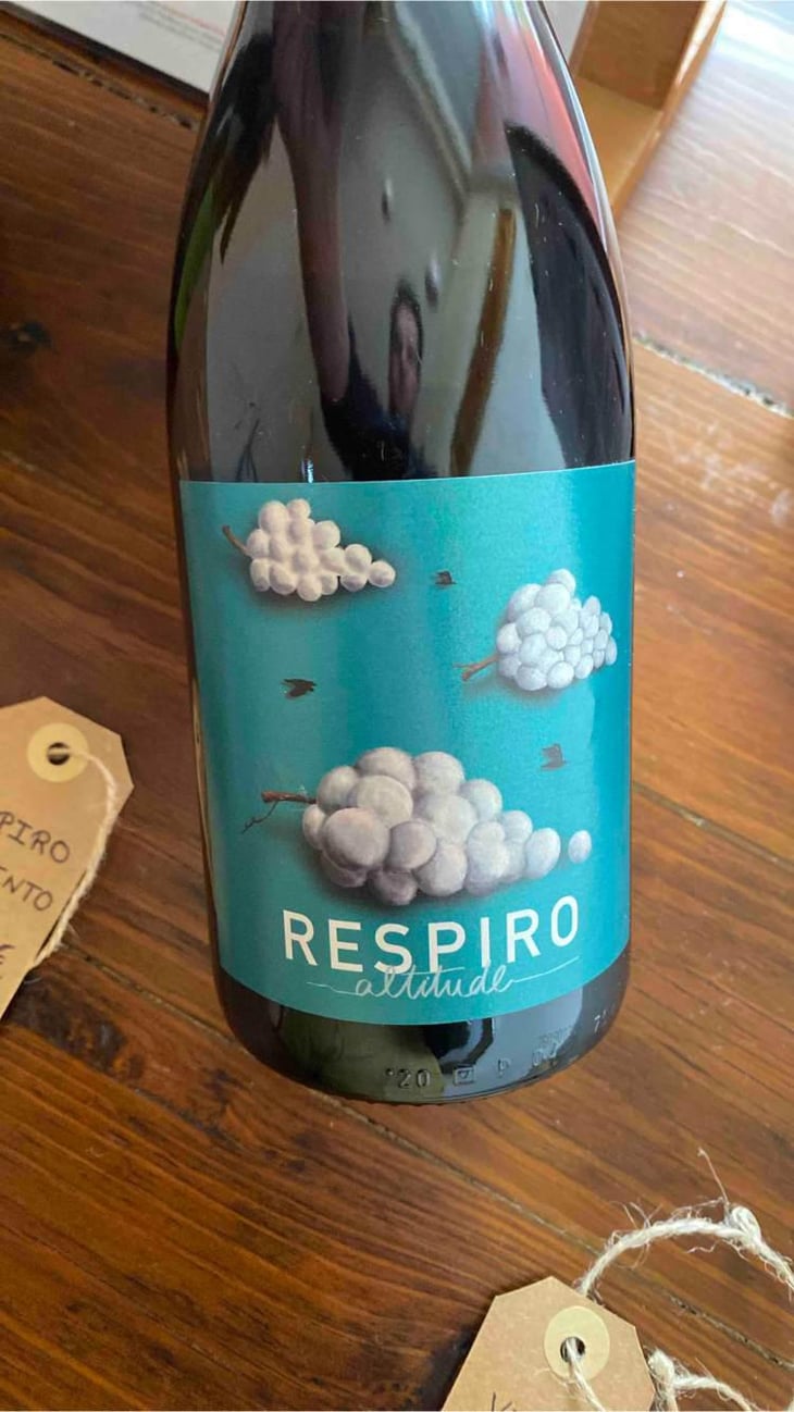 Respiro - Cabeças do Reguengo - João Afonso 