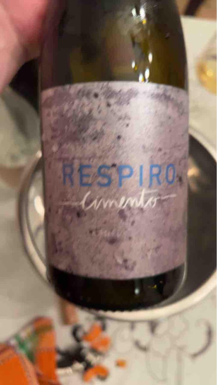 Respiro Cimento - Cabeças do Reguengo - João Afonso -2020