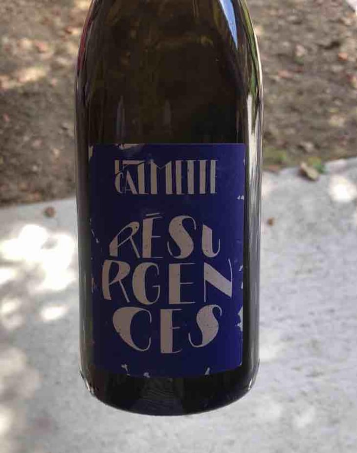 Résurgences - Domaine la Calmette - Maya Sallée & Nicolas Fernandez 
