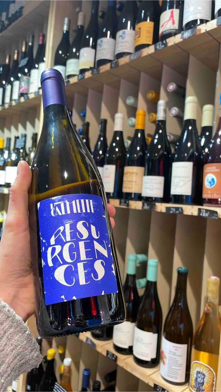 Résurgences - Domaine la Calmette - Maya Sallée & Nicolas Fernandez 