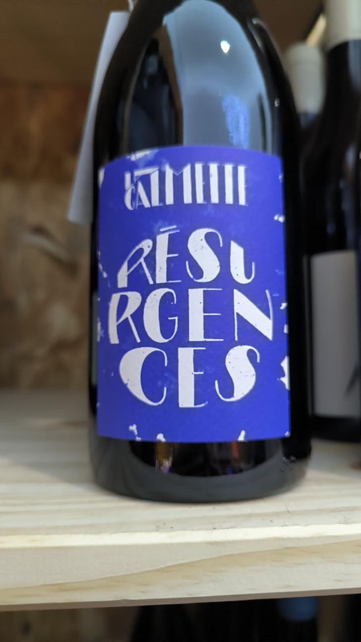 Résurgences - Domaine la Calmette - Maya Sallée & Nicolas Fernandez 