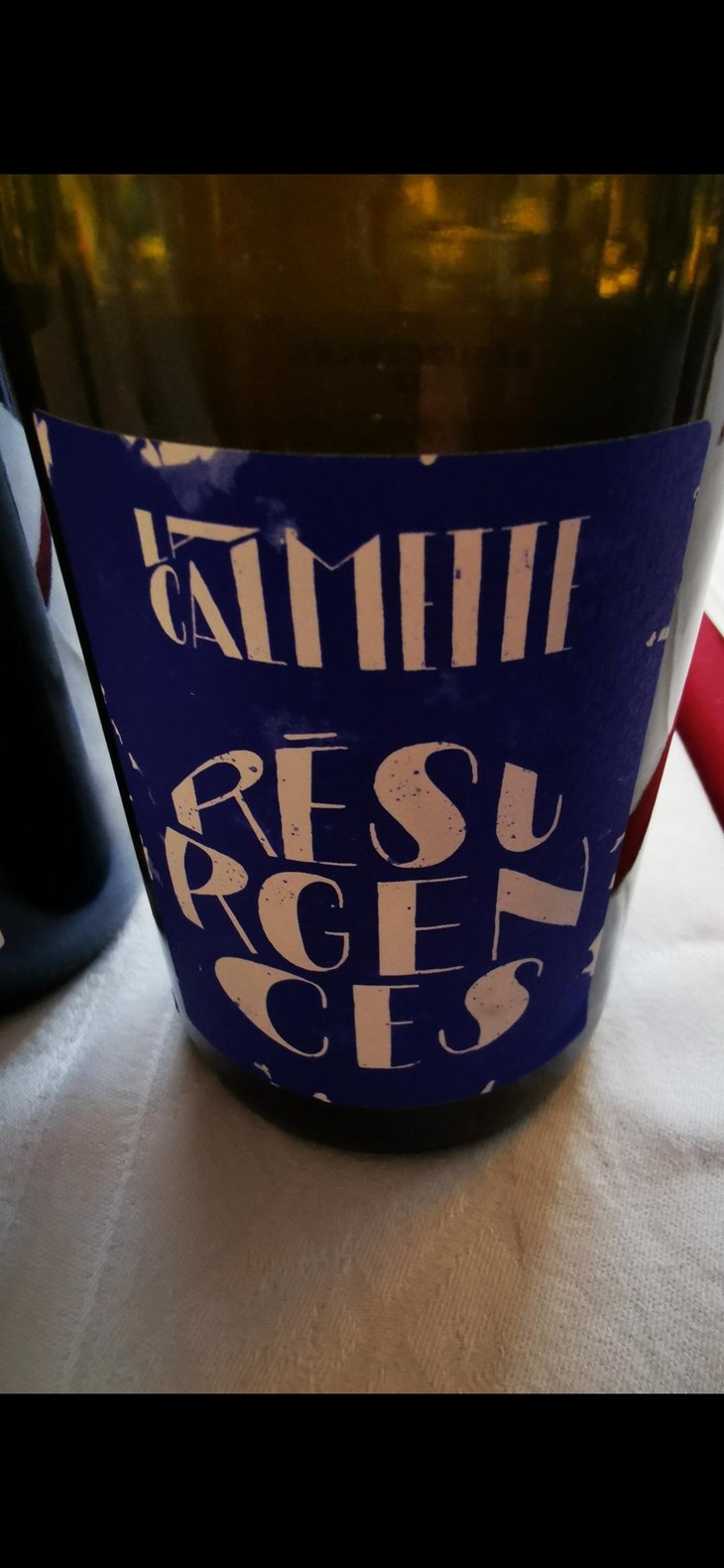 Résurgences - Domaine la Calmette - Maya Sallée & Nicolas Fernandez 