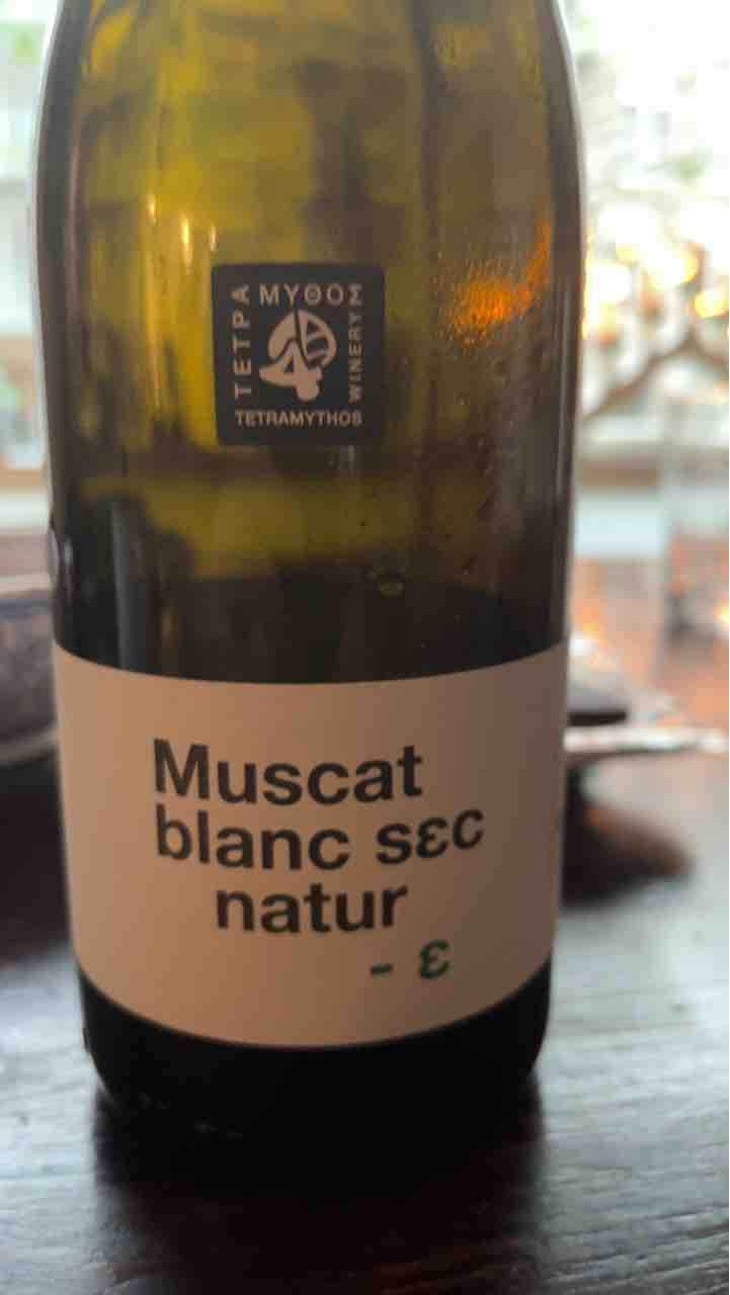 Retsina Amphore Natur - Tetramythos Winery - Τετράμυθος - Panos Papayiannopoulos, Aristos Spanos, Eustatius Spanos 