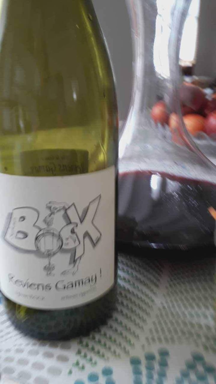 Reviens Gamay ! - Sylvain Bock - Sylvain Bock 