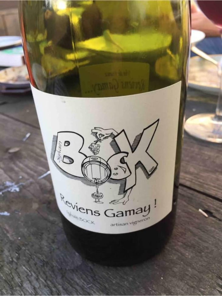 Reviens Gamay ! - Sylvain Bock - Sylvain Bock 