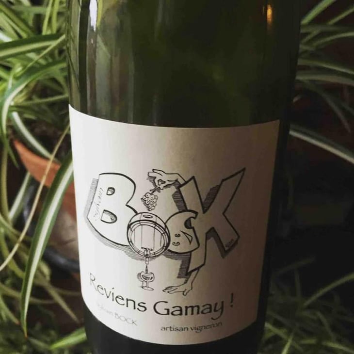 Reviens Gamay ! - Sylvain Bock - Sylvain Bock 
