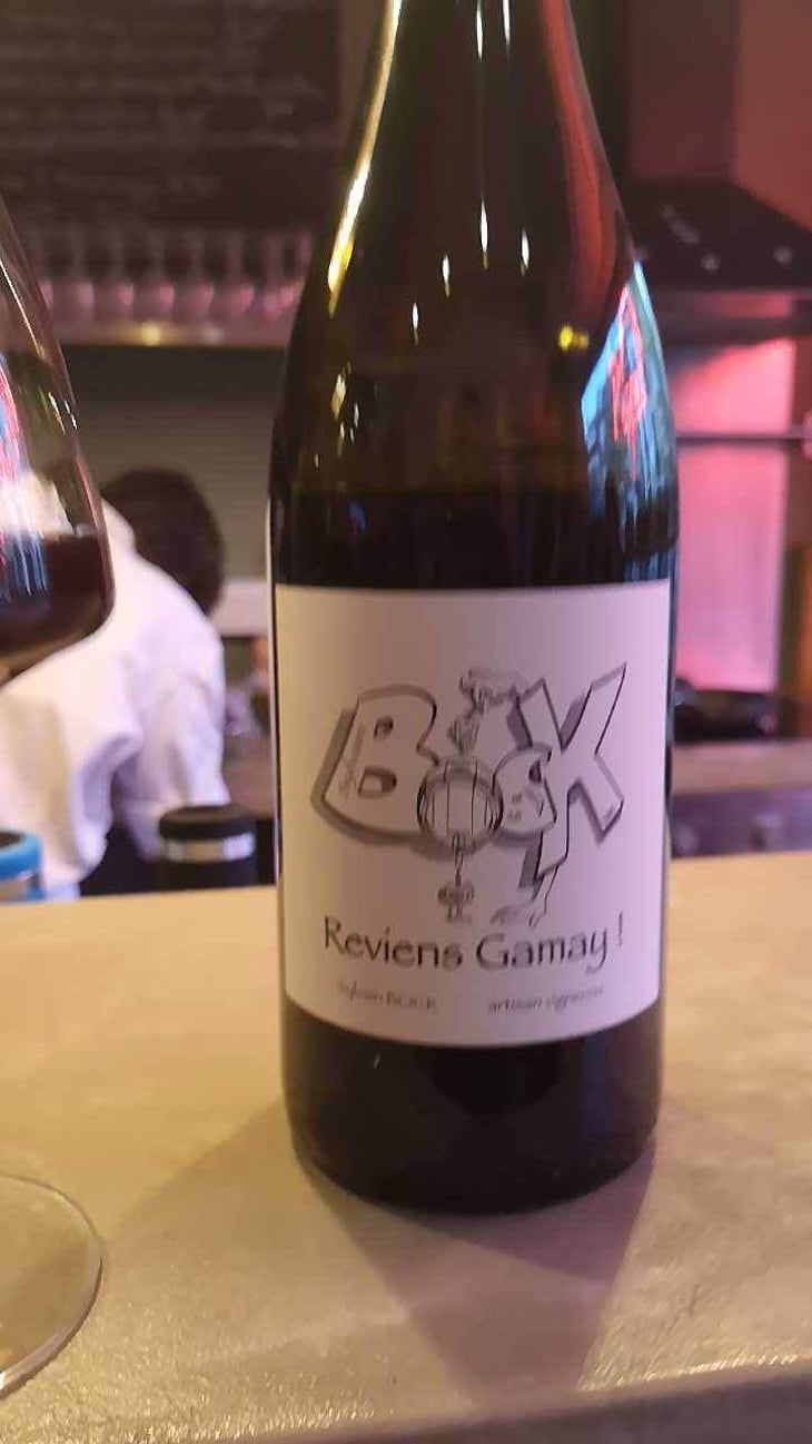 Reviens Gamay ! - Sylvain Bock - Sylvain Bock 