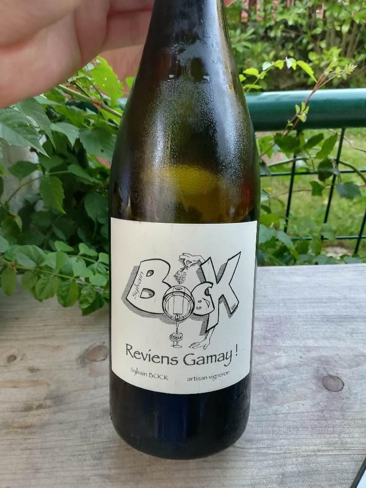 Reviens Gamay ! - Sylvain Bock - Sylvain Bock 