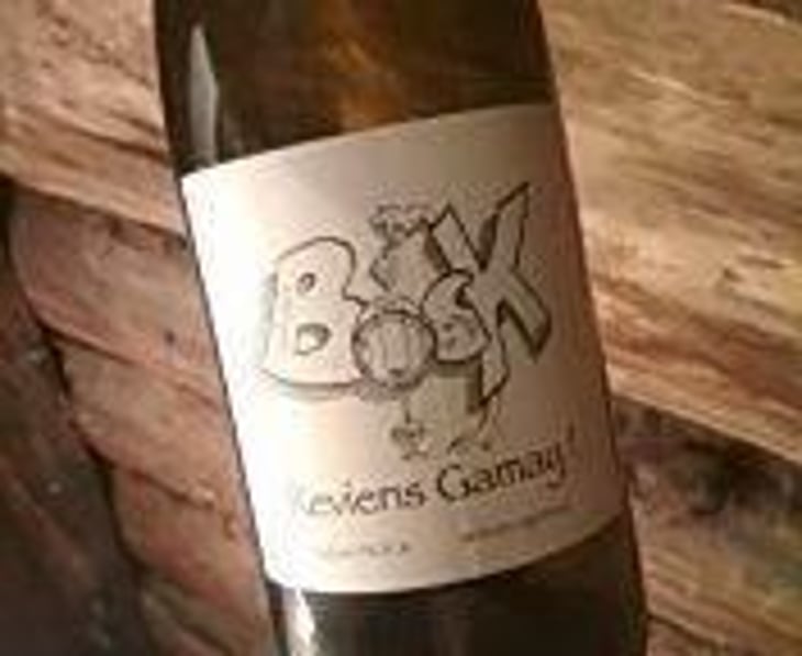 Reviens Gamay ! - Sylvain Bock - Sylvain Bock 