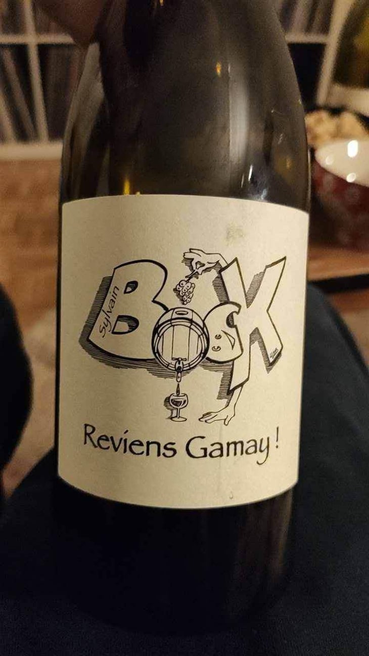 Reviens Gamay ! - Sylvain Bock - Sylvain Bock 