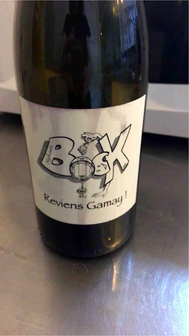 Reviens Gamay ! - Sylvain Bock - Sylvain Bock 
