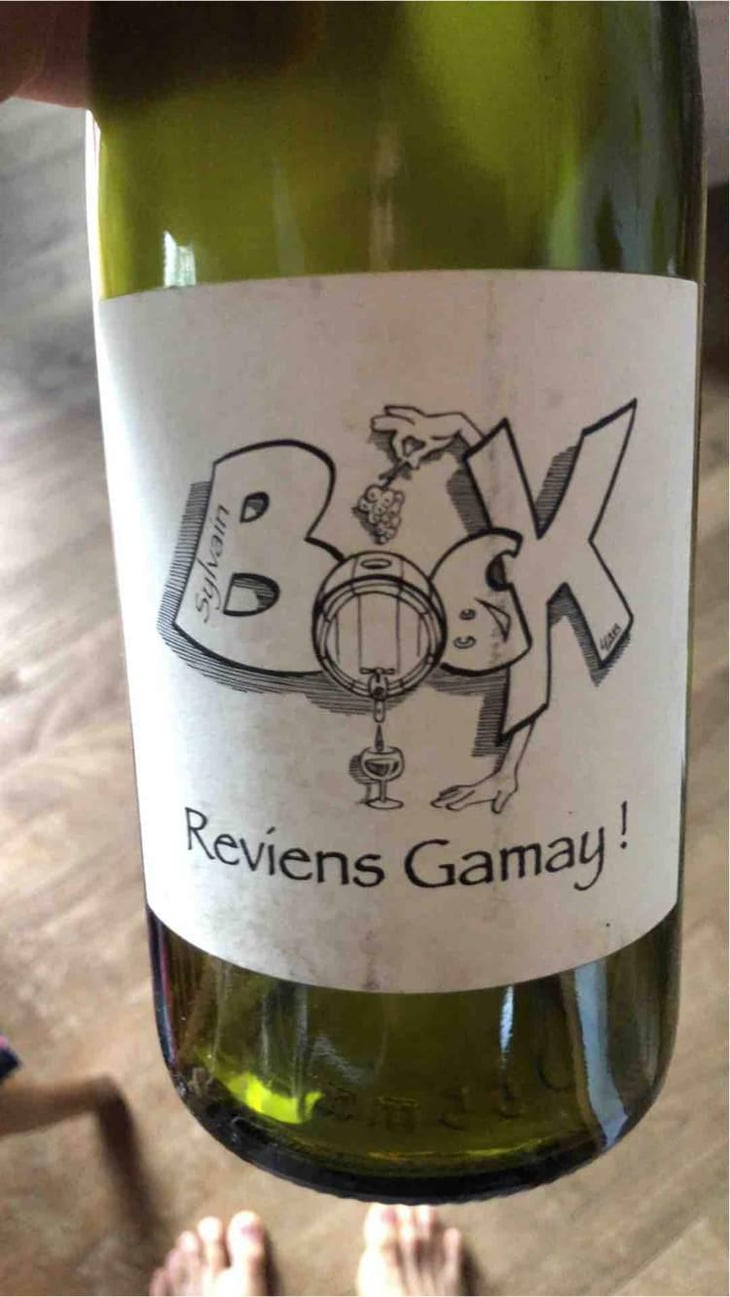 Reviens Gamay ! - Sylvain Bock - Sylvain Bock 