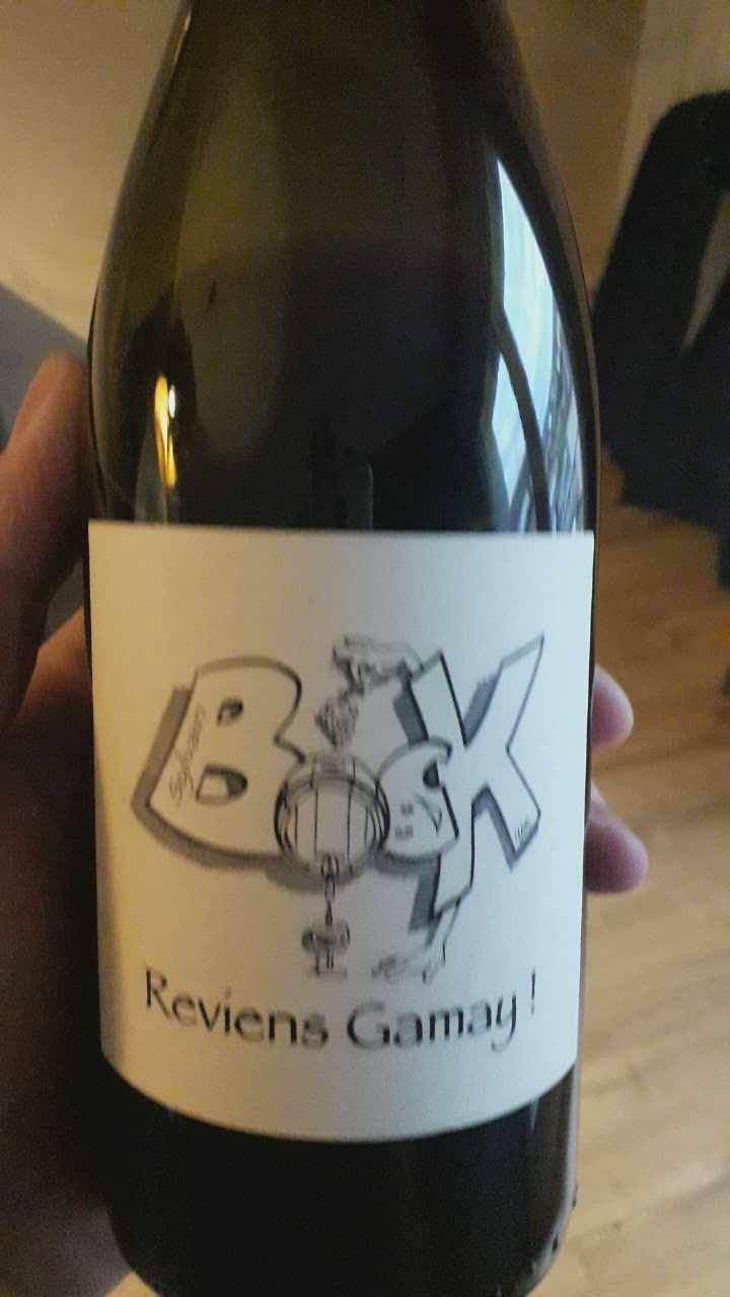 Reviens Gamay ! - Sylvain Bock - Sylvain Bock 