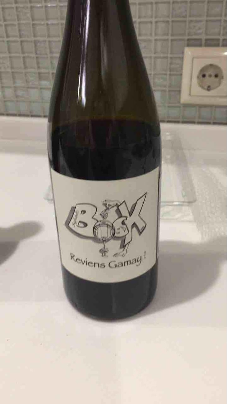 Reviens Gamay ! - Sylvain Bock - Sylvain Bock 