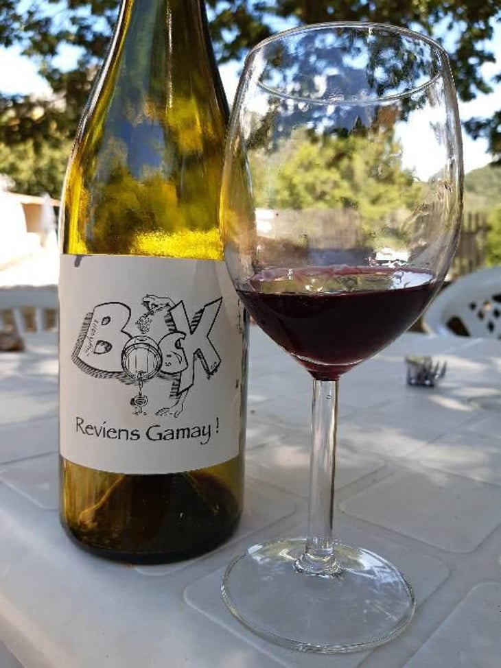 Reviens Gamay ! - Sylvain Bock - Sylvain Bock 