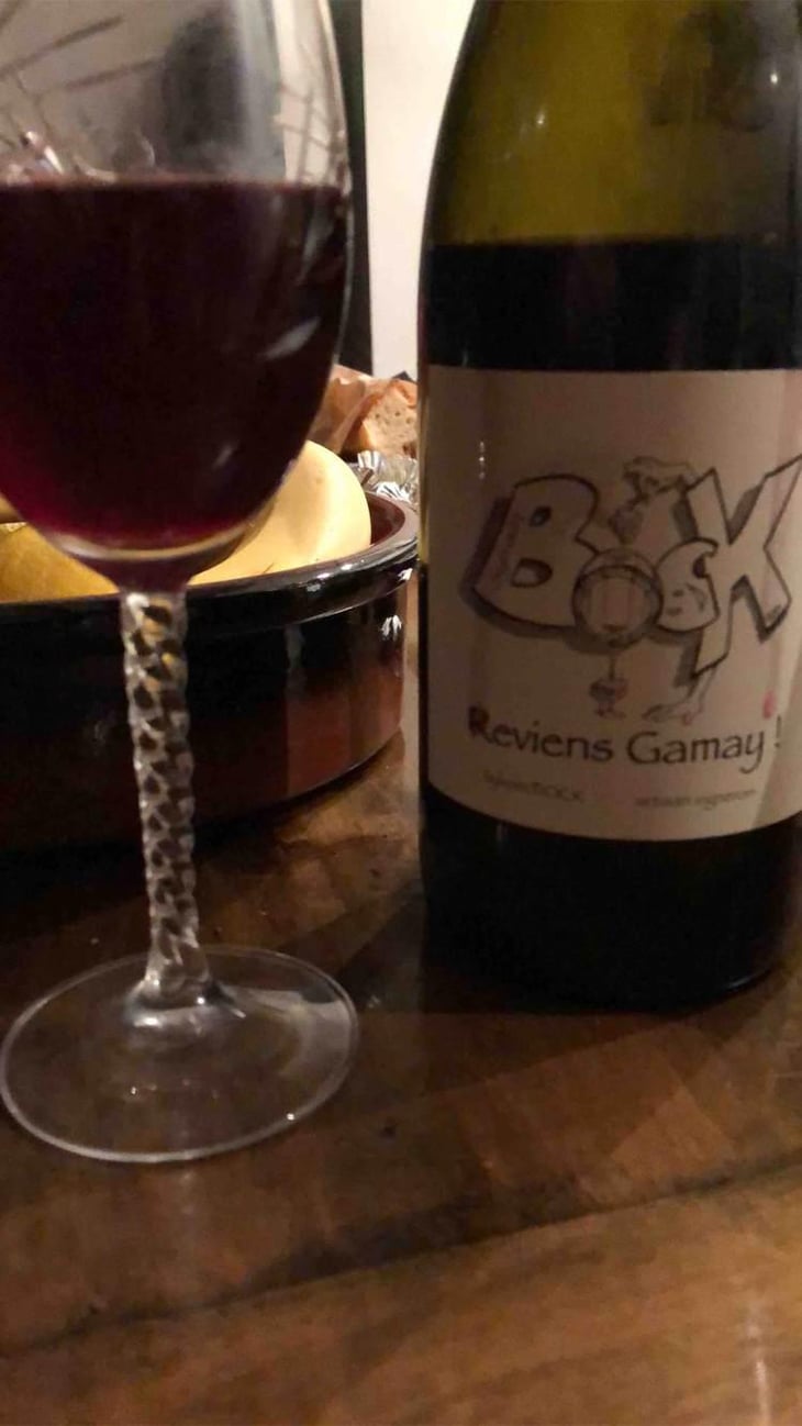 Reviens Gamay ! - Sylvain Bock - Sylvain Bock 