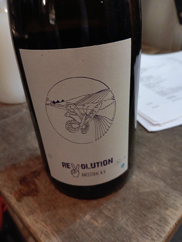 Revolution White Solera - Bioweingut Johannes Zillinger - Johannes Zillinger 