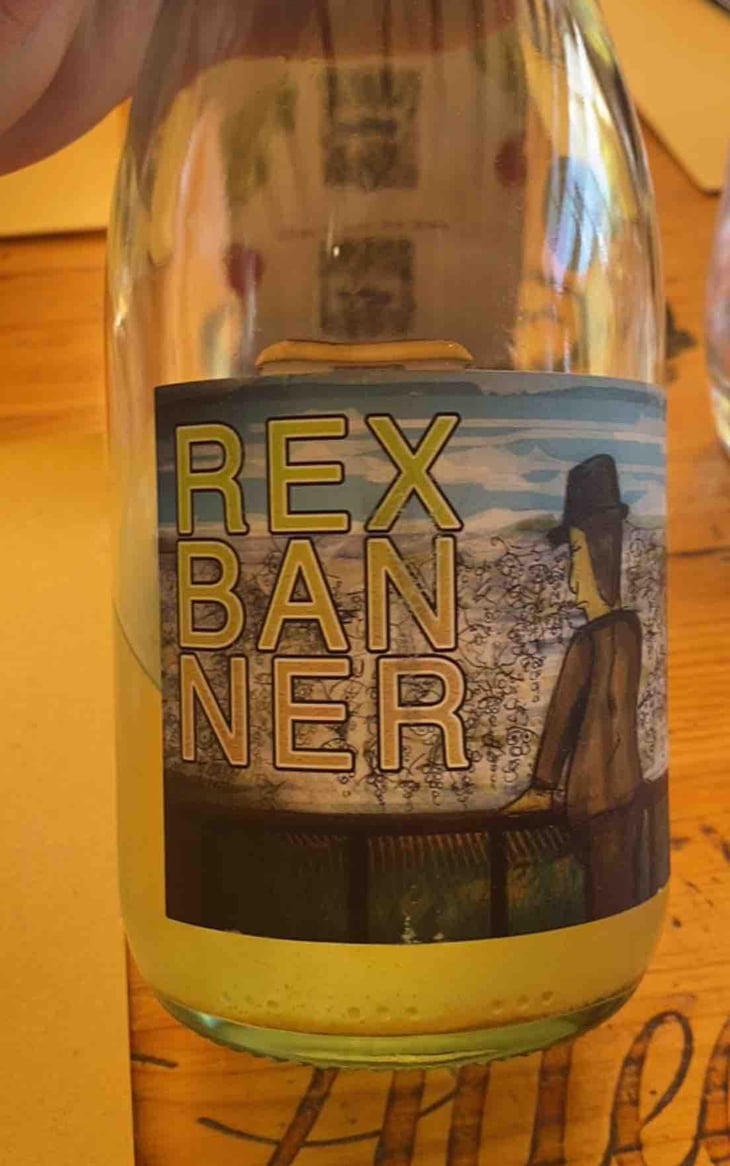 Rex Banner - Lumiluna Casa Vinicola - Giulio Rinaldi & Luca Bigicchia 