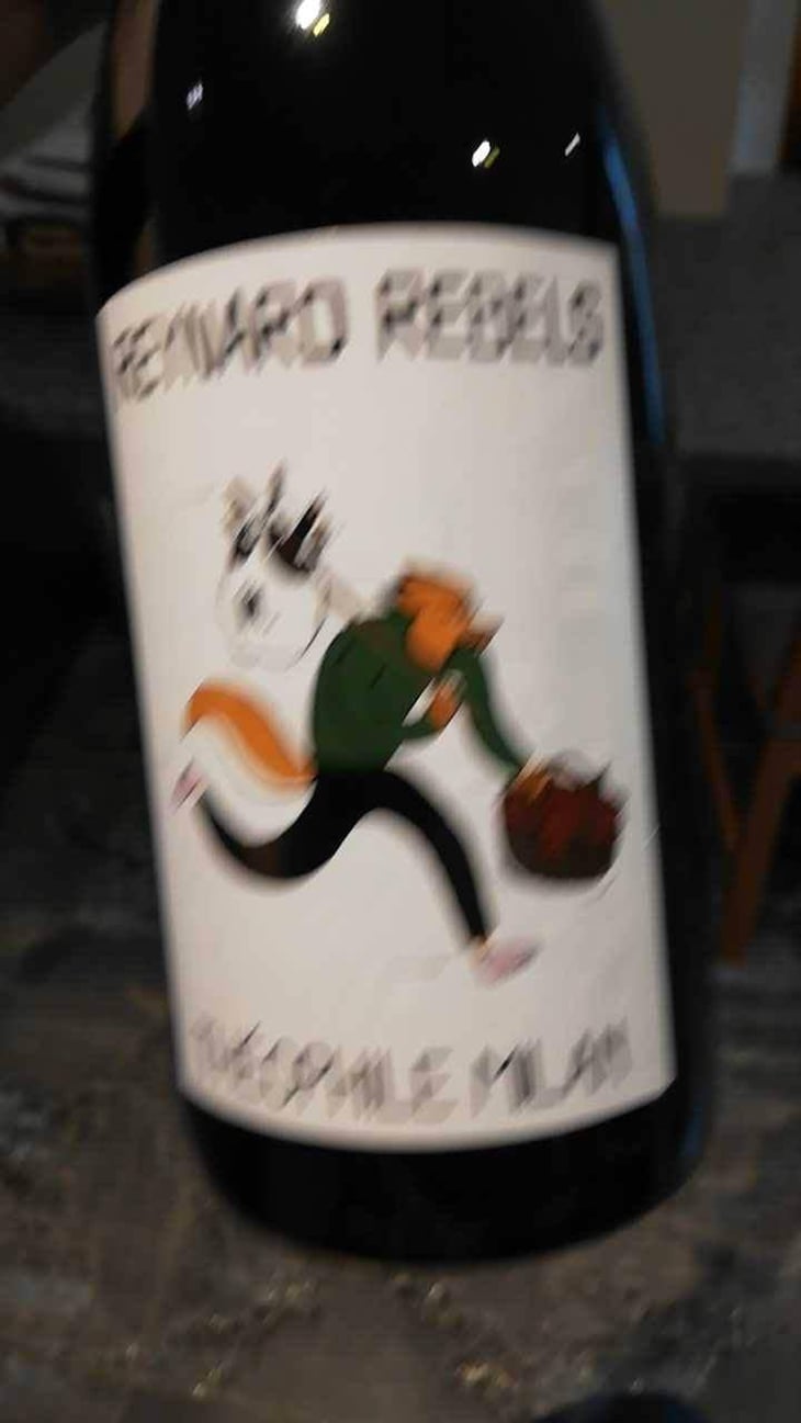 Reynard Rebels - Domaine Milan - Emma, Théophile & Henri Milan 