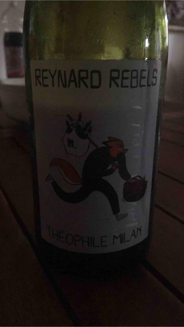 Reynard Rebels - Domaine Milan - Emma, Théophile & Henri Milan 