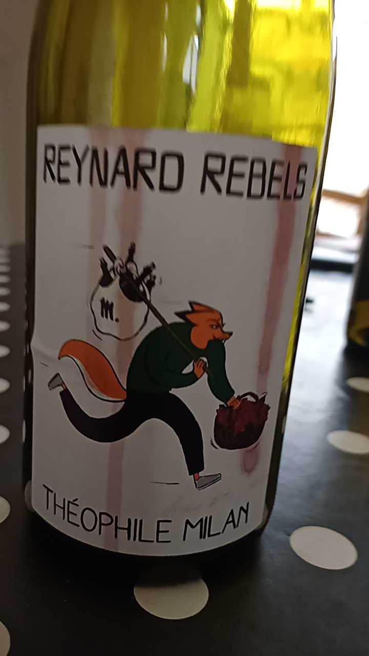 Reynard Rebels - Domaine Milan - Emma, Théophile & Henri Milan 