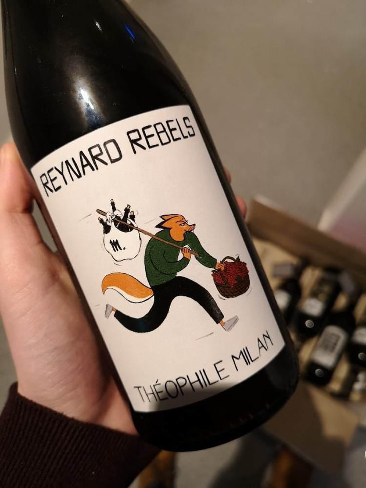 Reynard Rebels - Domaine Milan - Emma, Théophile & Henri Milan 