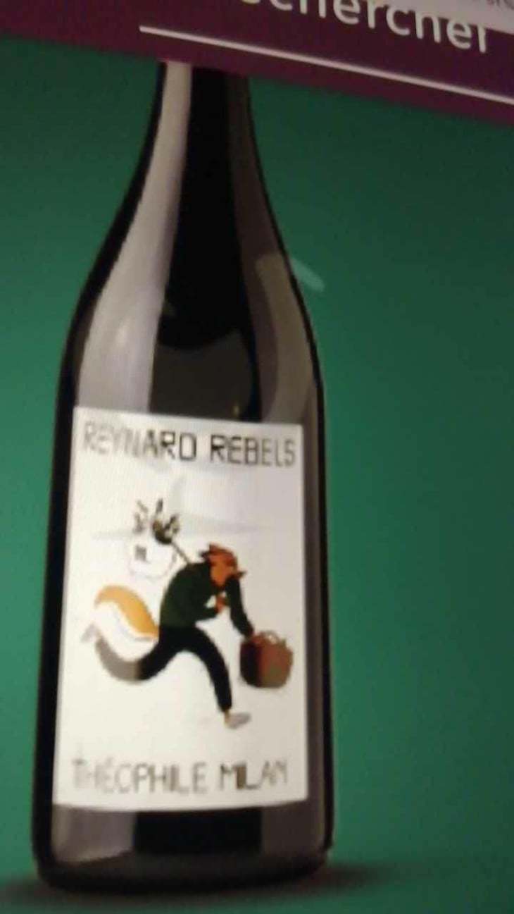 Reynard Rebels - Domaine Milan - Emma, Théophile & Henri Milan 