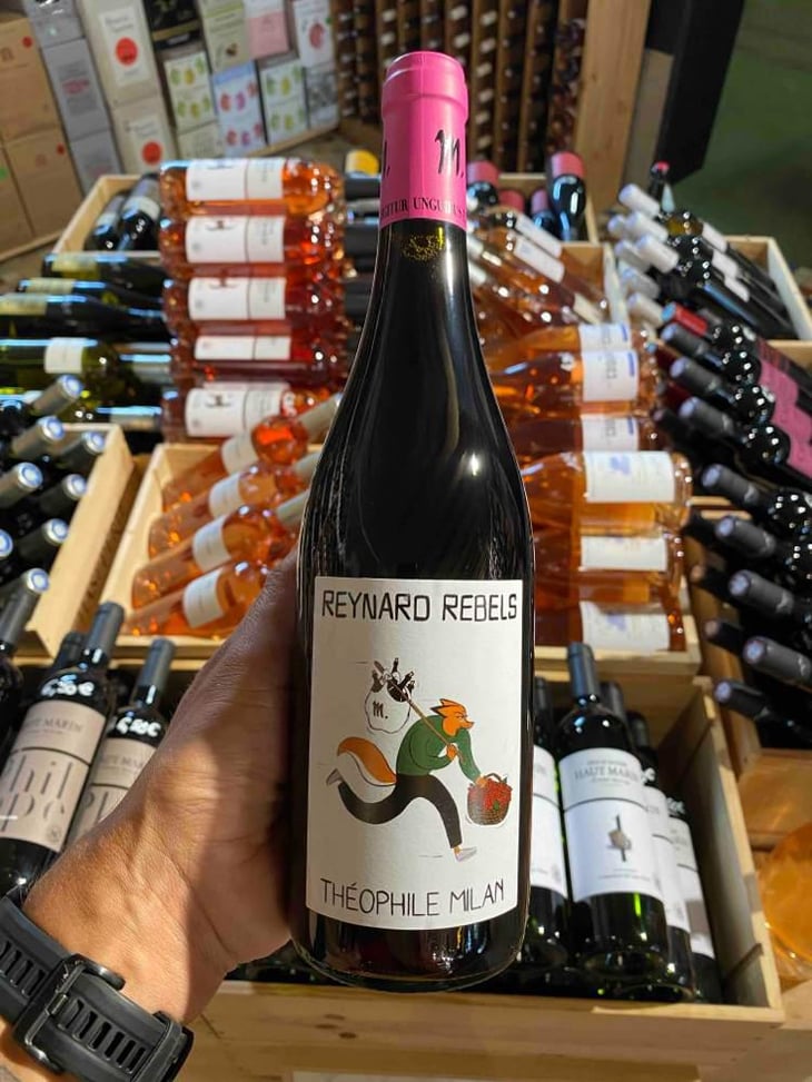 Reynard Rebels - Domaine Milan - Emma, Théophile & Henri Milan 