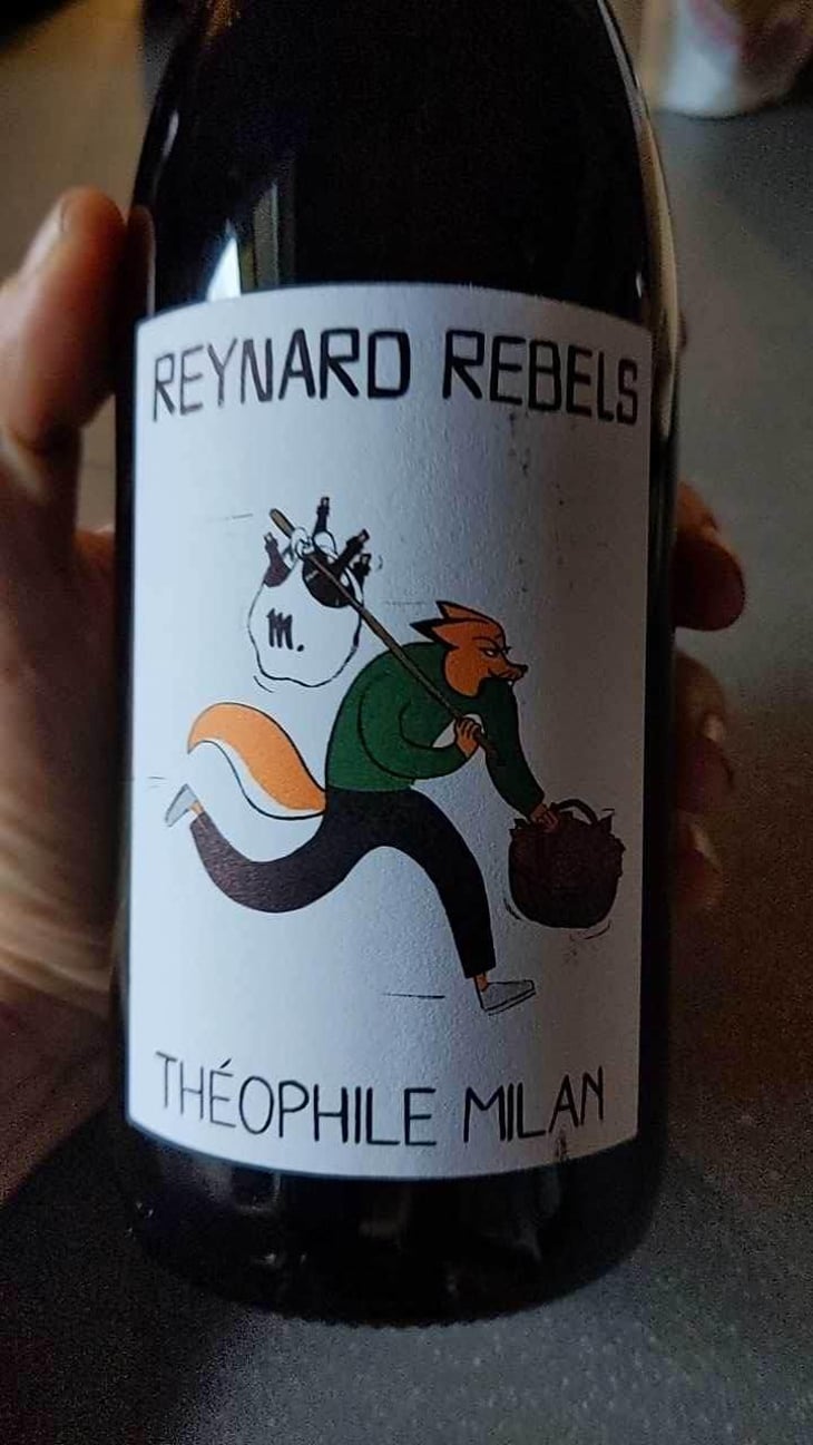 Reynard Rebels - Domaine Milan - Emma, Théophile & Henri Milan 